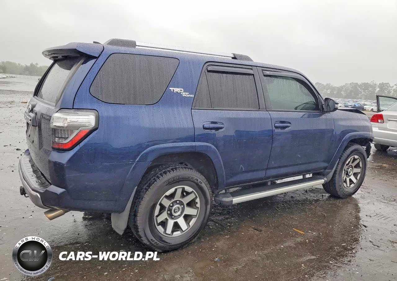 2018 Toyota 4Runner Trd Off-Road Premium VIN:JTEBU5JR1J5496742 - 3