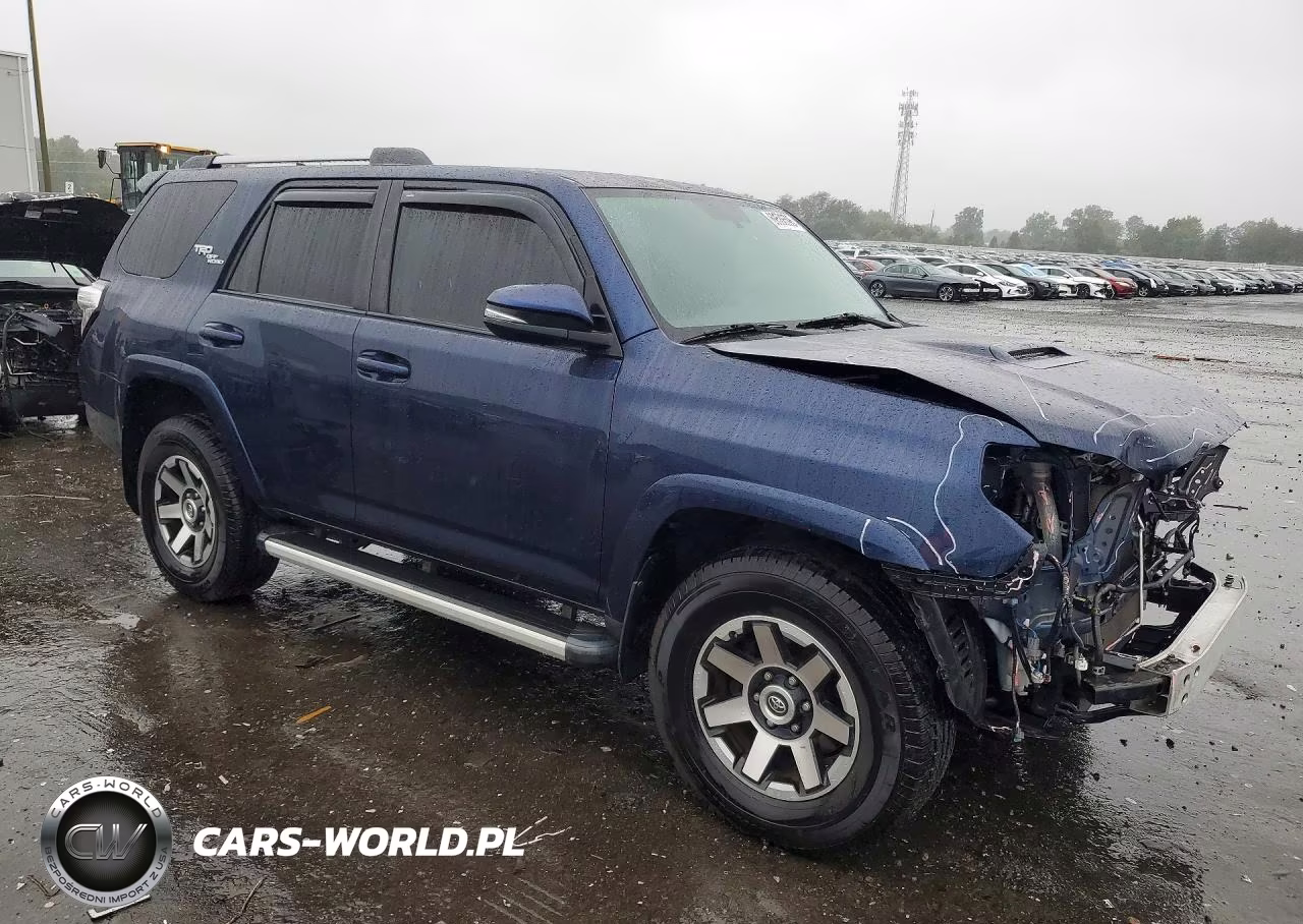 2018 Toyota 4Runner Trd Off-Road Premium VIN:JTEBU5JR1J5496742 - 4