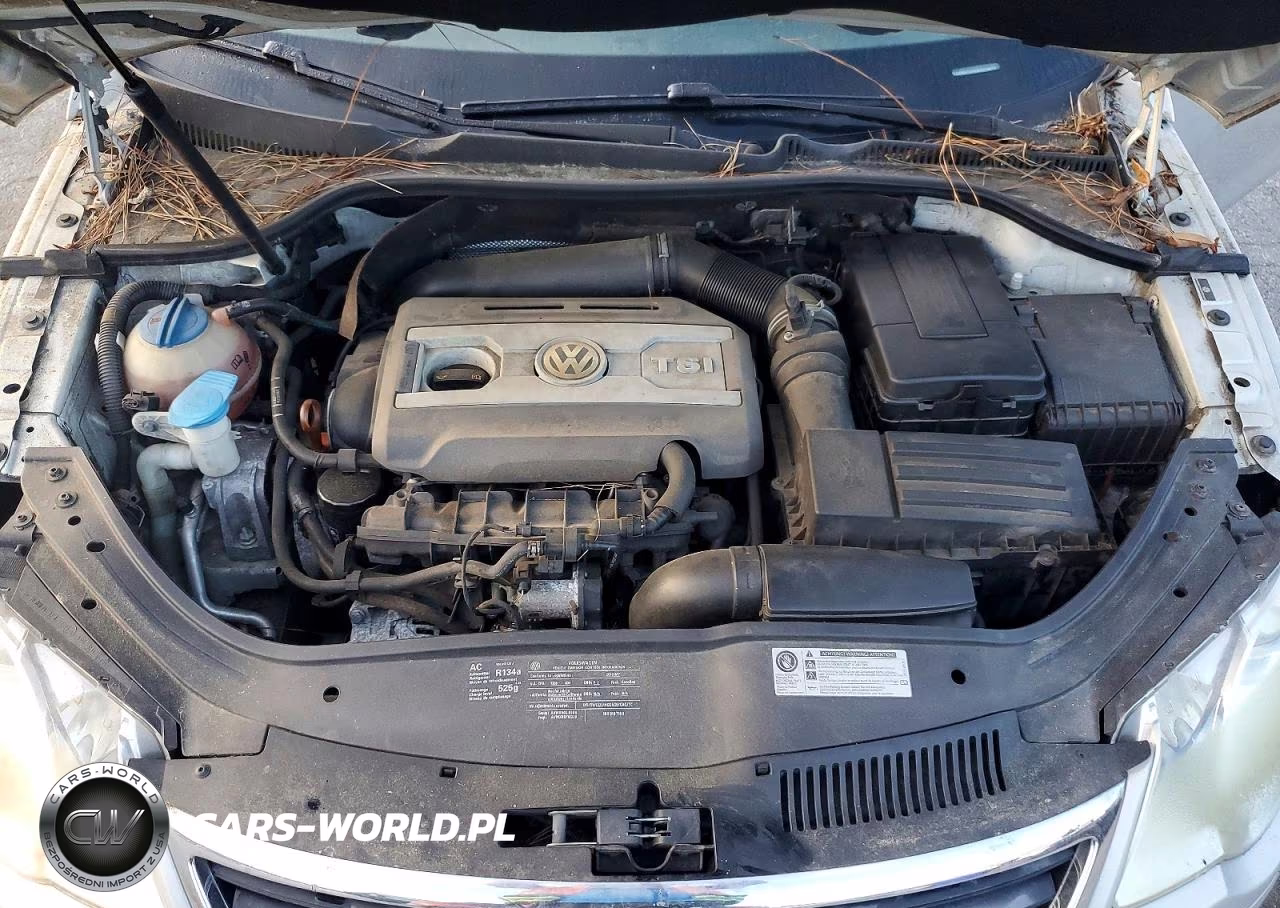 2010 Volkswagen Eos Turbo VIN:WVWBA7AH2AV014473 - 11