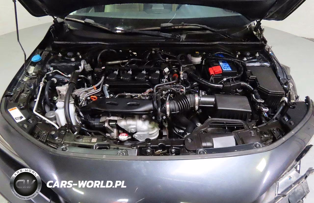 2024 Honda Civic Exl VIN:19XFL1H75RE020189 - 6