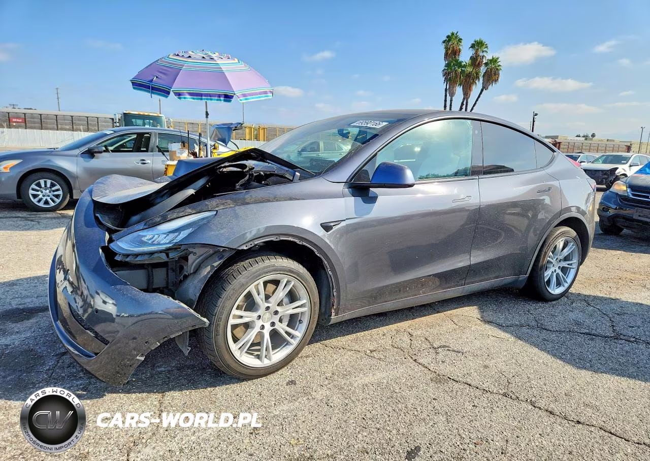 2020 Tesla Model Y