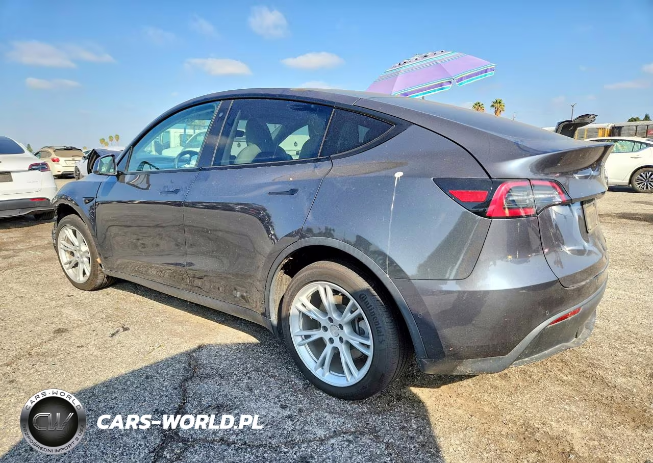 2020 Tesla Model Y VIN:5YJYGDEE9LF021977 - 2