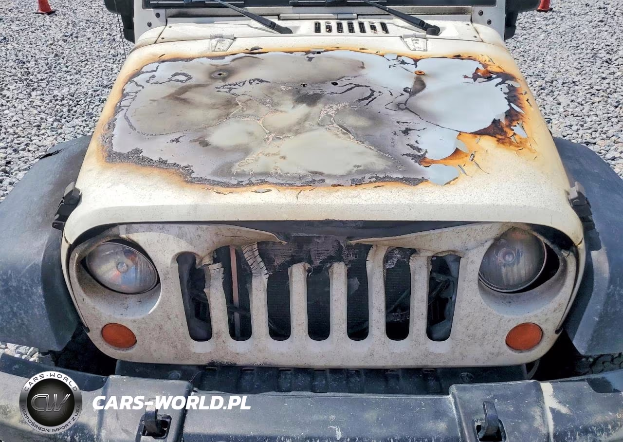 2007 Jeep Wrangler X VIN:1J4GA39147L149992 - 11