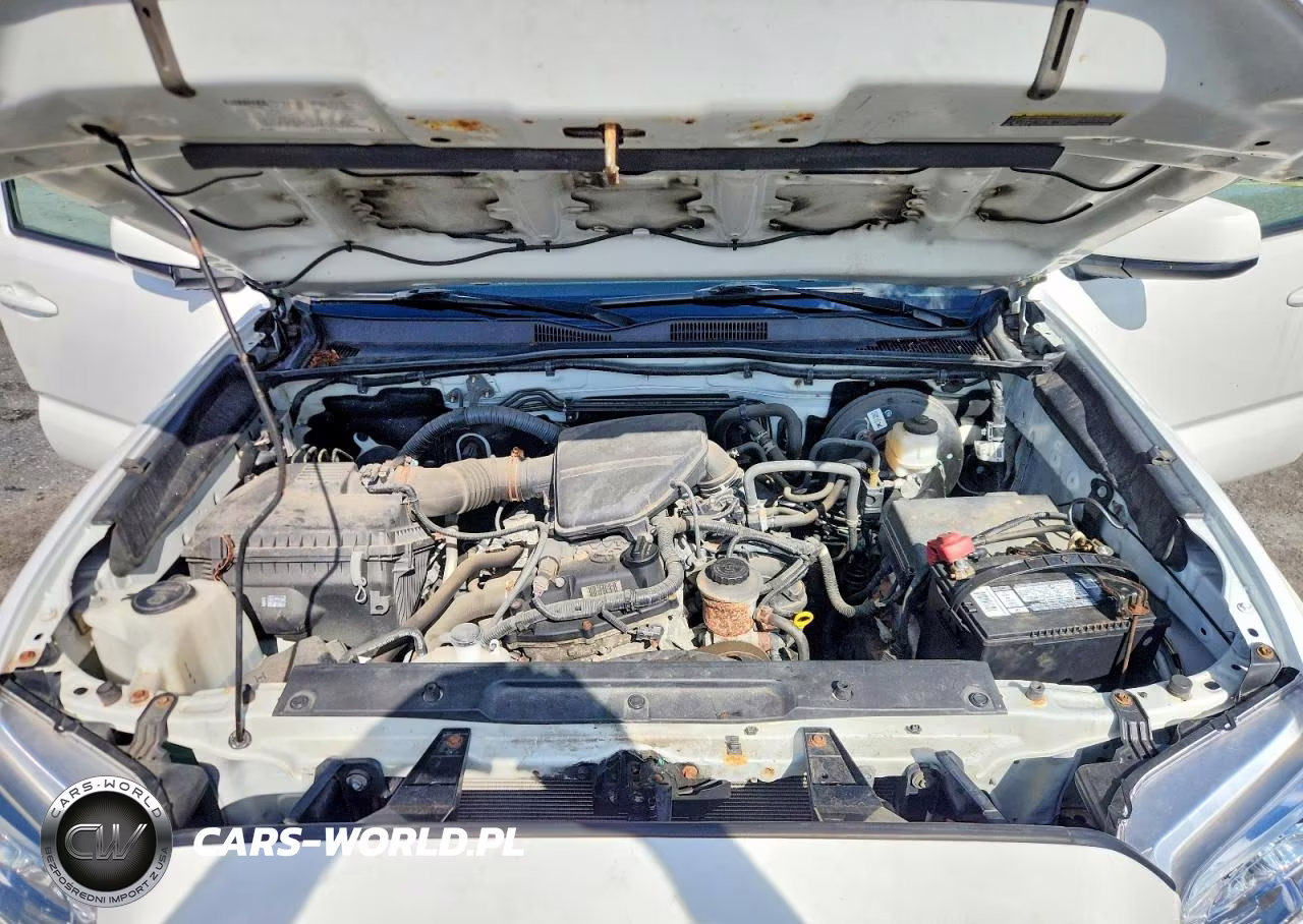 2019 Toyota Tacoma Sr VIN:5TFRX5GN3KX164306 - 11