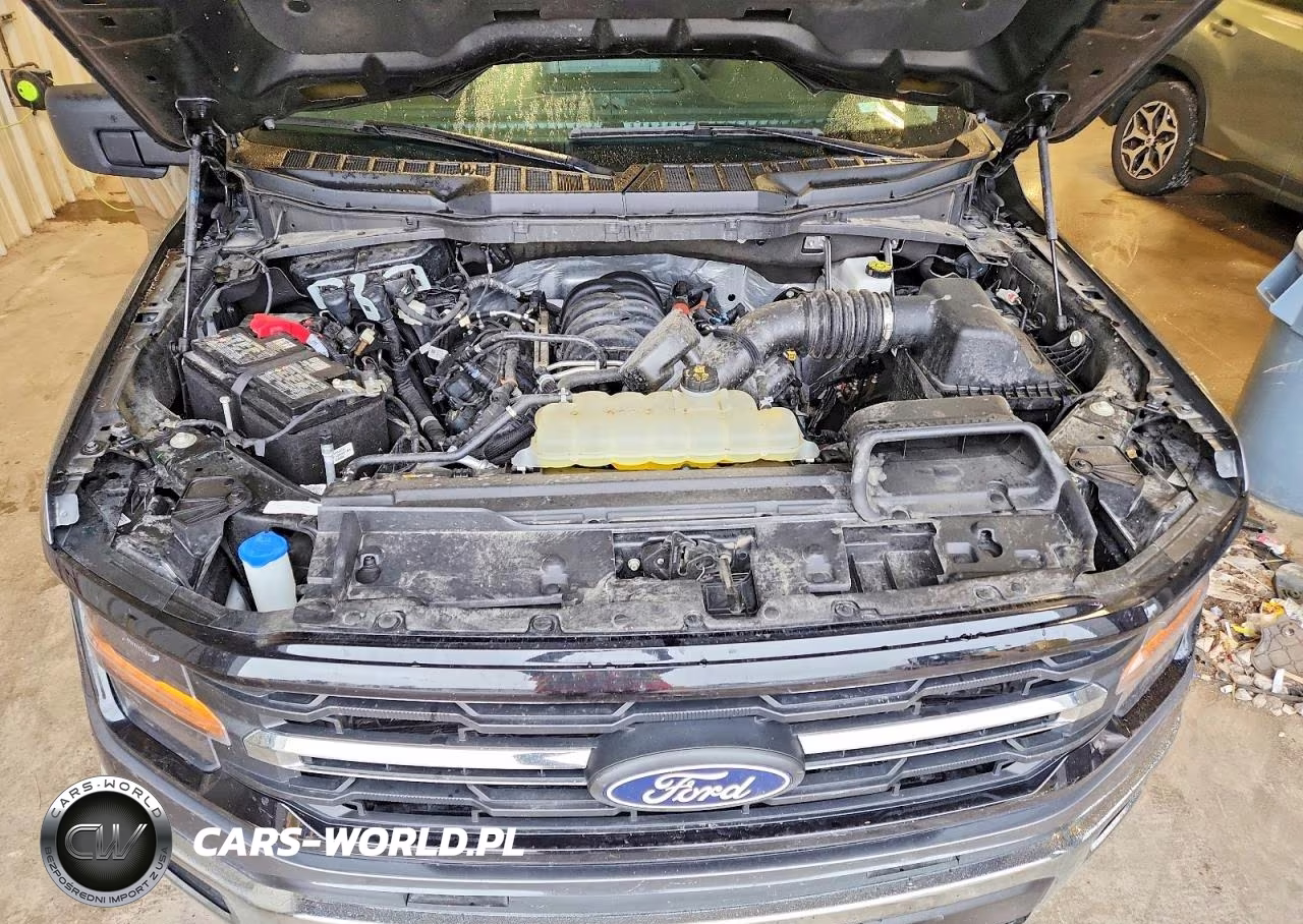2025 Ford F150 Xlt VIN:1FTEW3K54SKE62602 - 11
