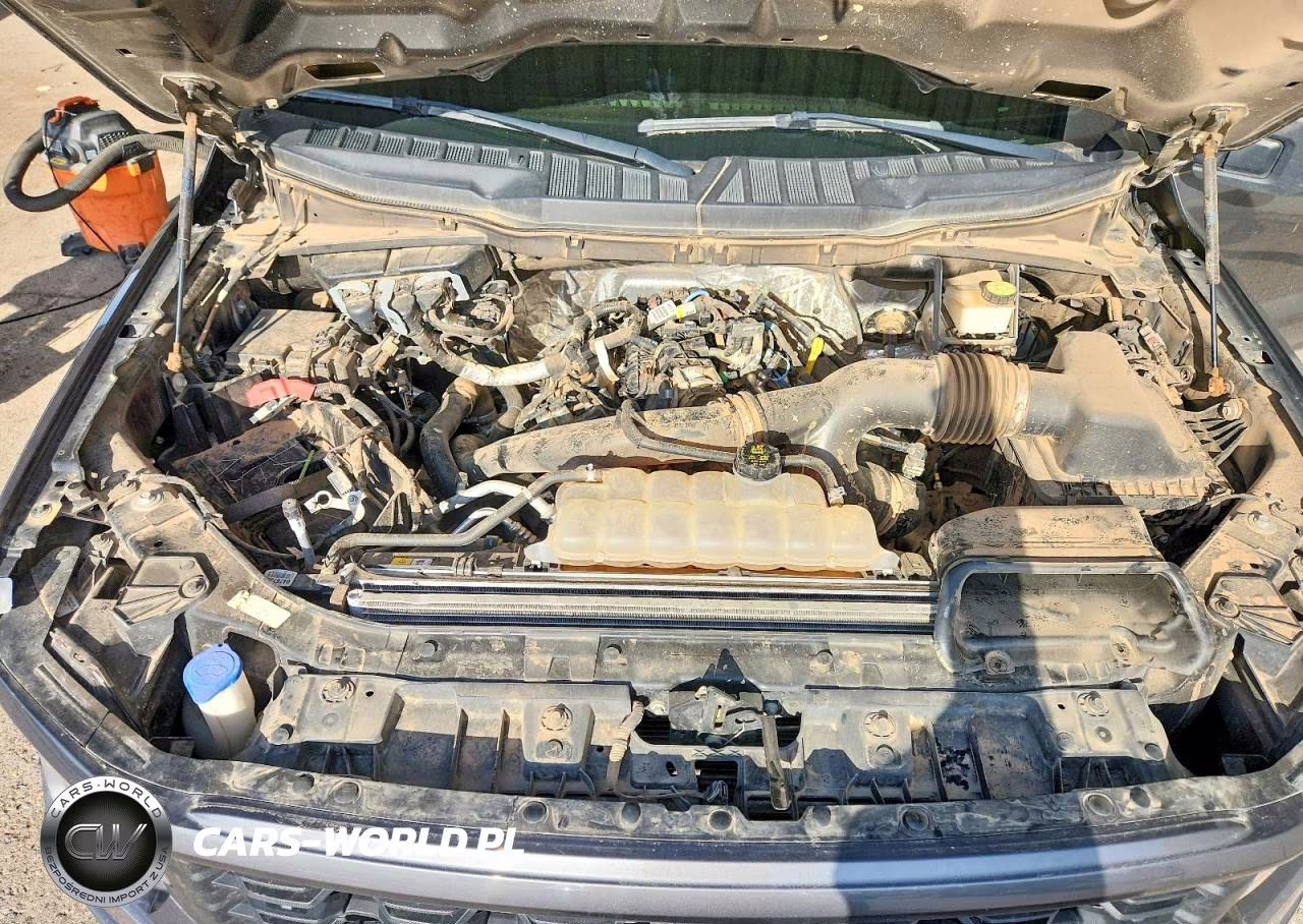 2024 Ford F150 Stx VIN:1FTEW2KP2RKD19282 - 11