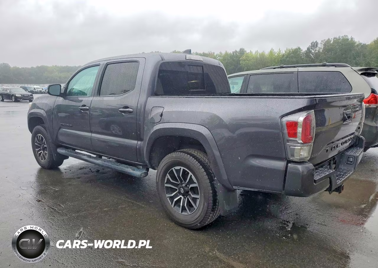 2021 Toyota Tacoma Trd Sport VIN:3TYCZ5AN9MT041373 - 2