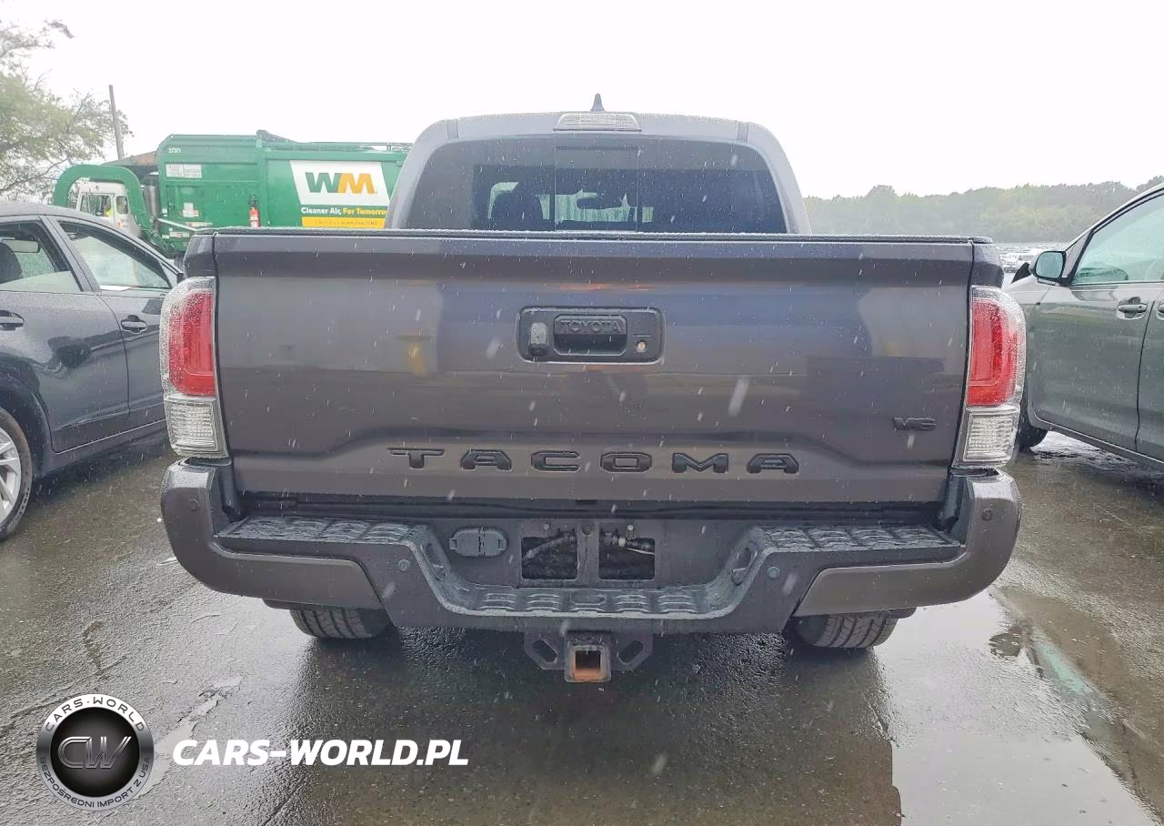 2021 Toyota Tacoma Trd Sport VIN:3TYCZ5AN9MT041373 - 6
