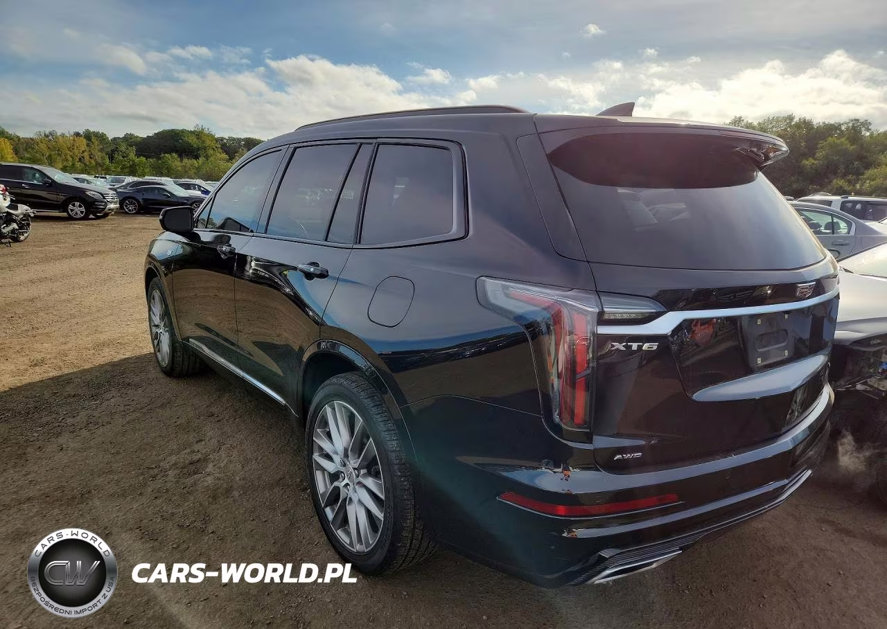 2020 Cadillac Xt6 Sport VIN:1GYKPGRS9LZ124375 - 2