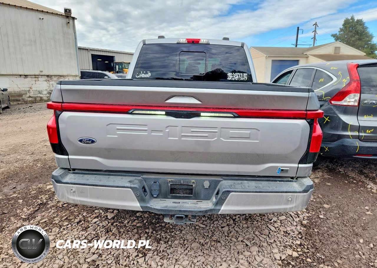 2023 Ford F150 Lightning Pro VIN:1FT6W1EV8PWG63200 - 6