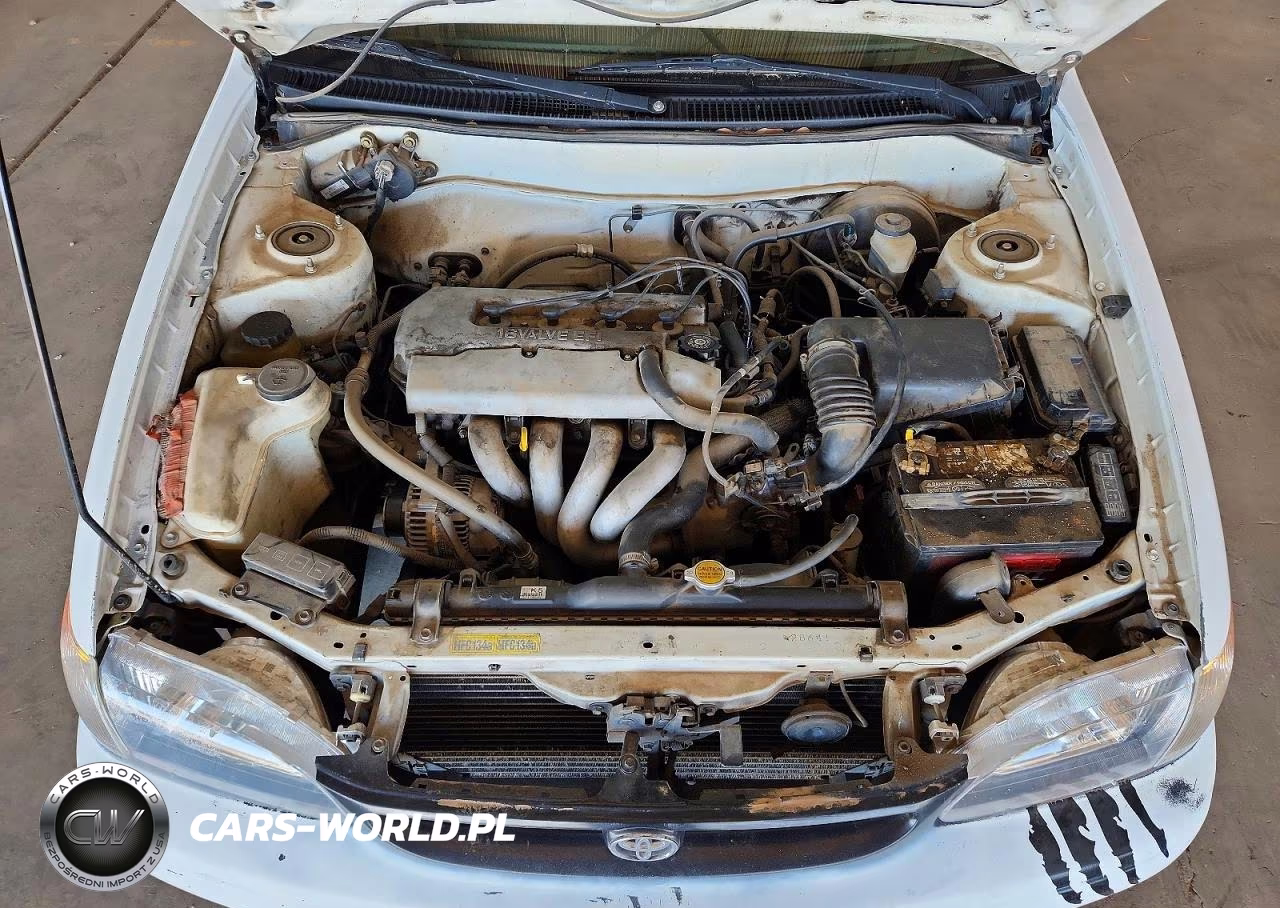1999 Toyota Corolla Ve VIN:1NXBR12E9XZ157554 - 11