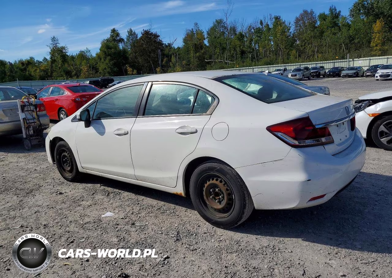 2014 Honda Civic Lx VIN:19XFB2F50EE224743 - 2