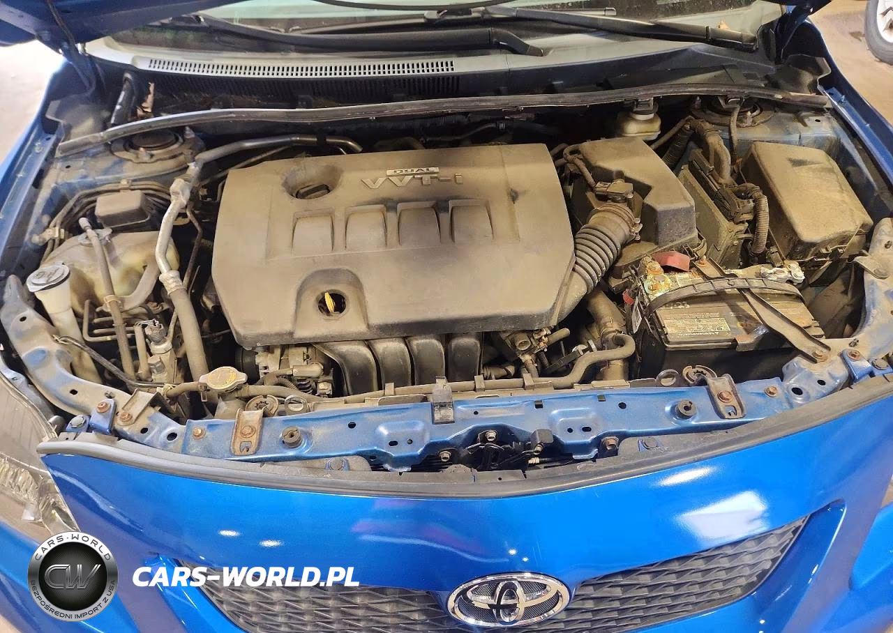 2010 Toyota Corolla Le VIN:2T1BU4EE3AC523982 - 11