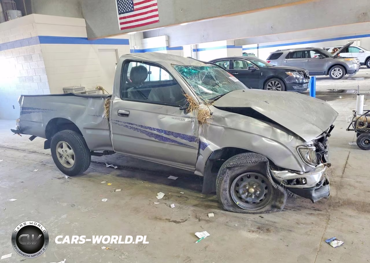 1996 Toyota Tacoma Base VIN:4TANL42N5TZ087497 - 4