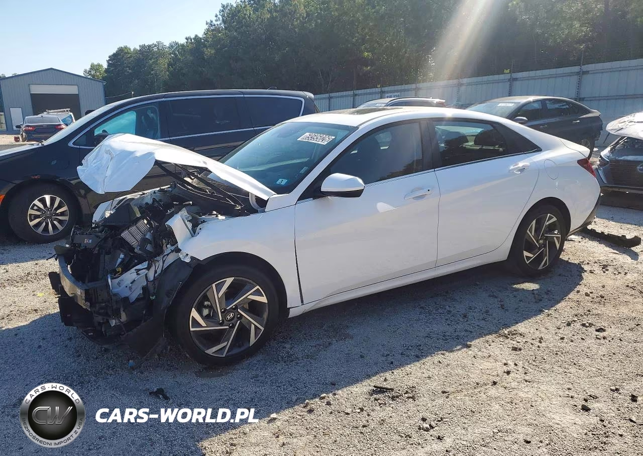 2025 Hyundai Elantra Sel VIN:KMHLS4DG7SU041884 - 1
