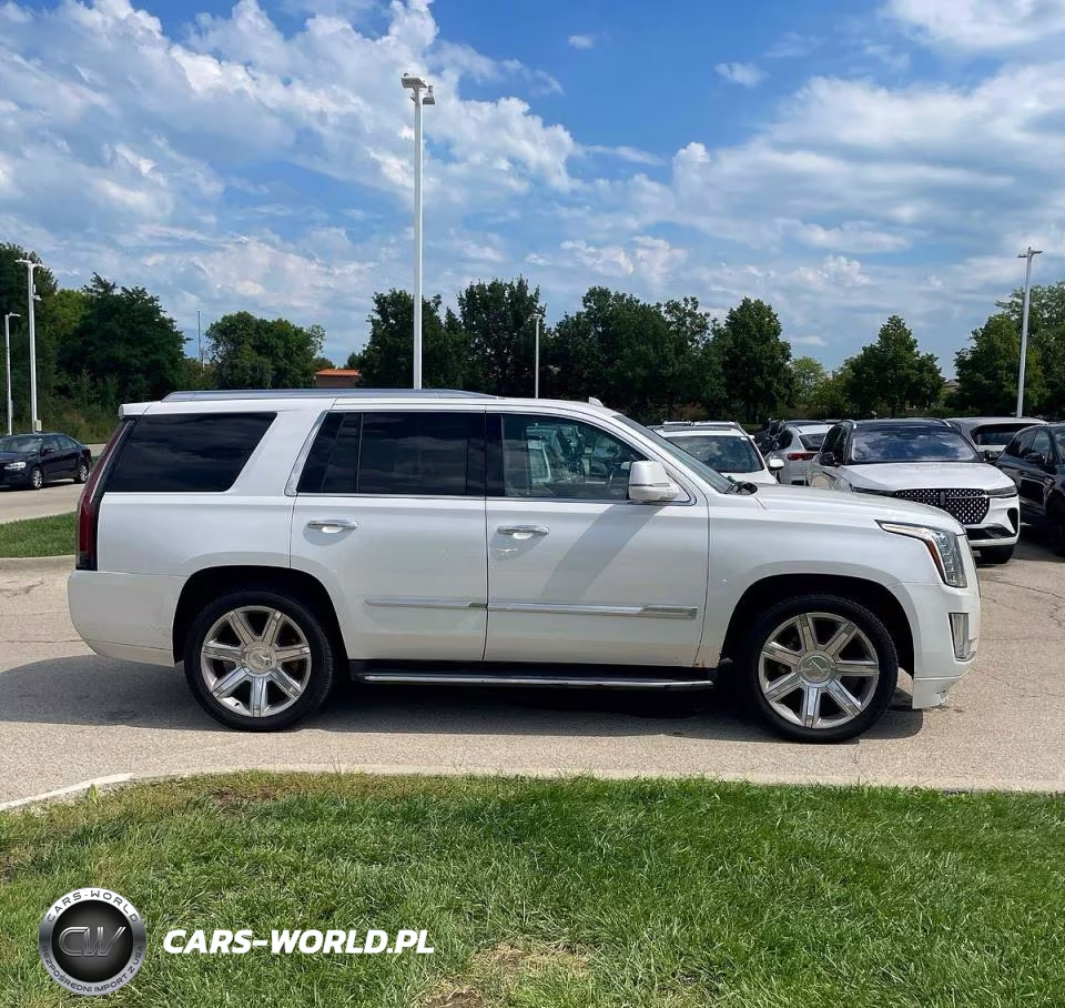2016 Cadillac Escalade Luxury VIN:1GYS4BKJ4GR154029 - 13