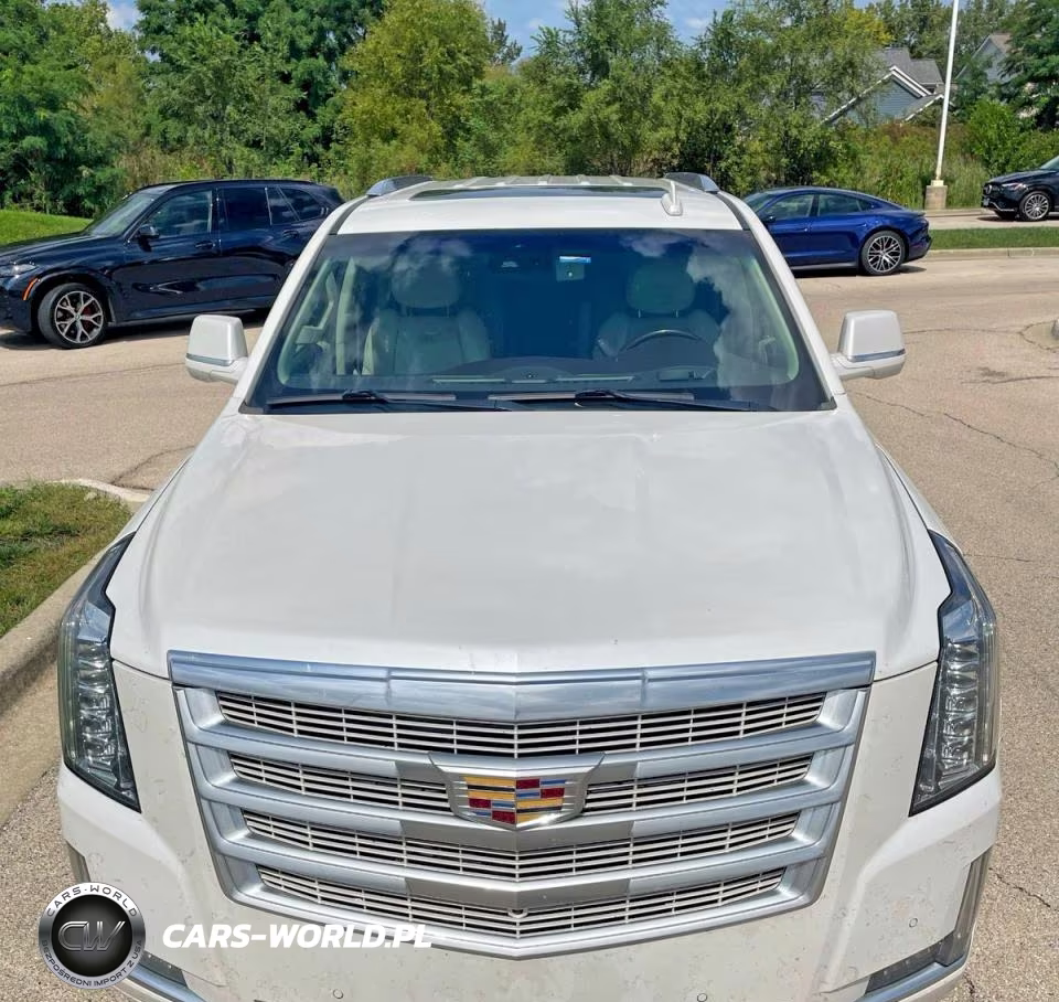 2016 Cadillac Escalade Luxury VIN:1GYS4BKJ4GR154029 - 14