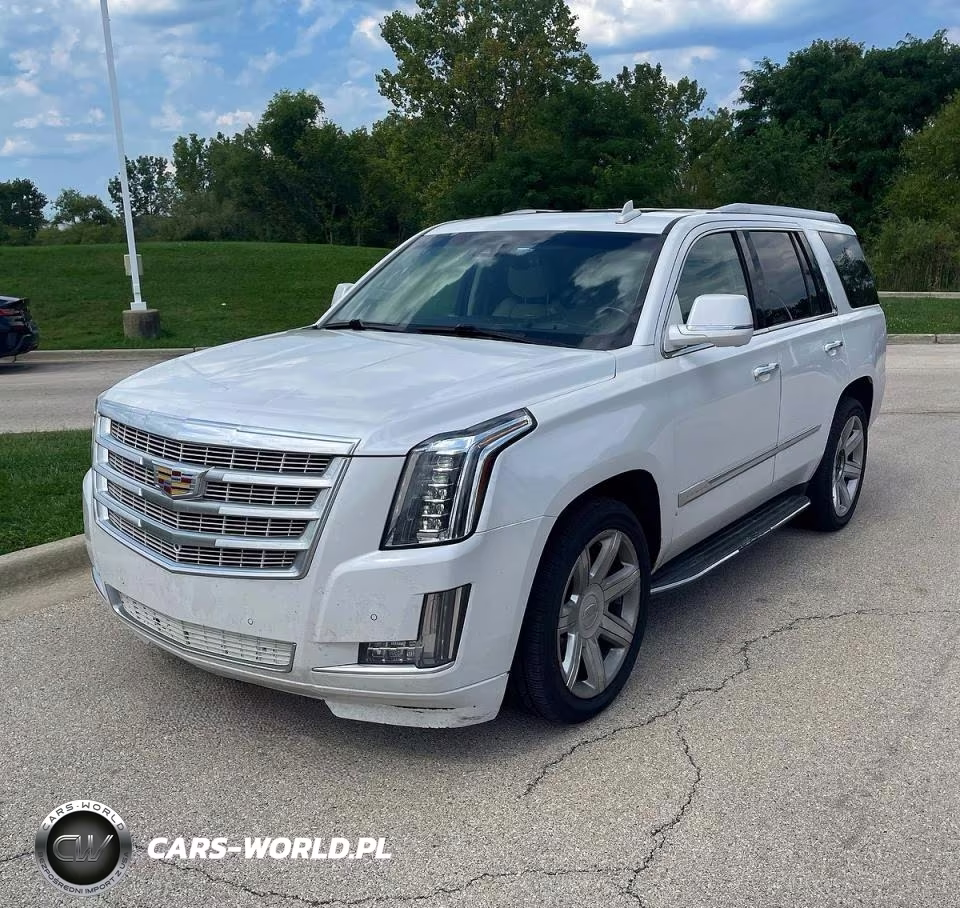2016 Cadillac Escalade Luxury VIN:1GYS4BKJ4GR154029 - 2