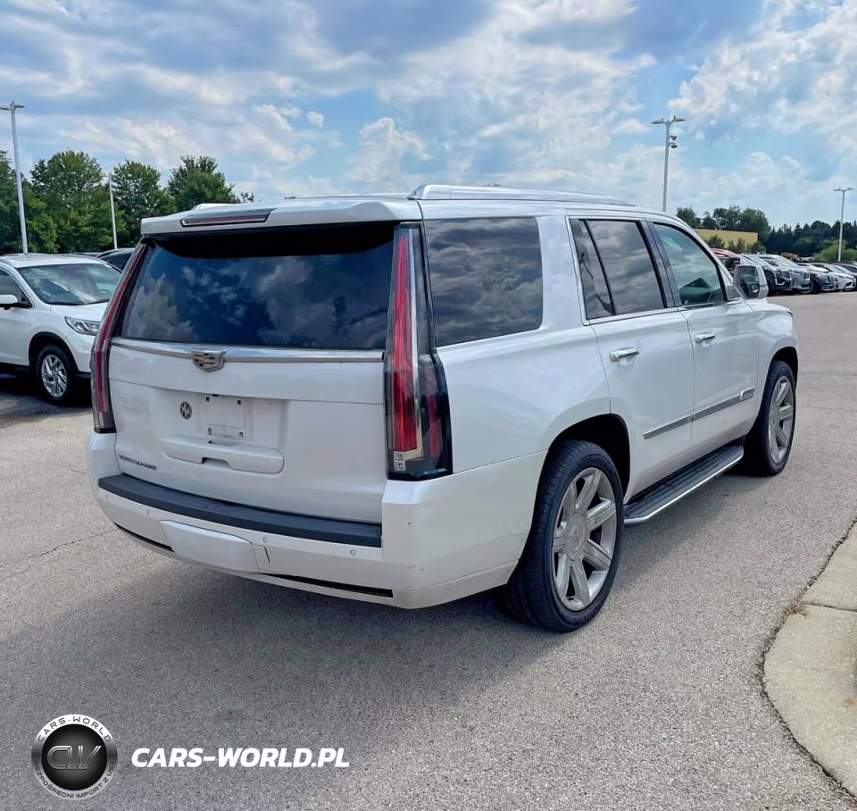 2016 Cadillac Escalade Luxury VIN:1GYS4BKJ4GR154029 - 4
