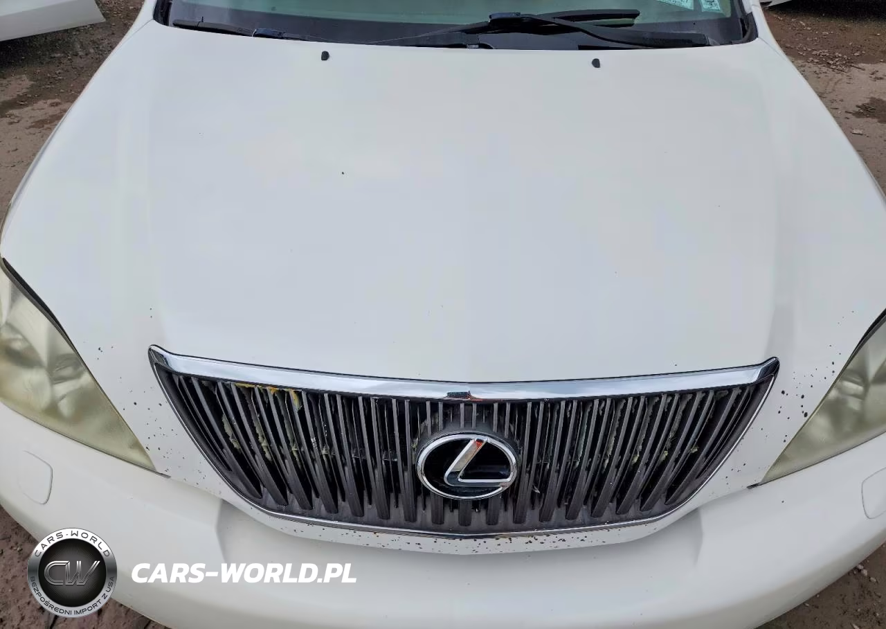 2007 Lexus Rx 350 VIN:2T2HK31U87C006155 - 12