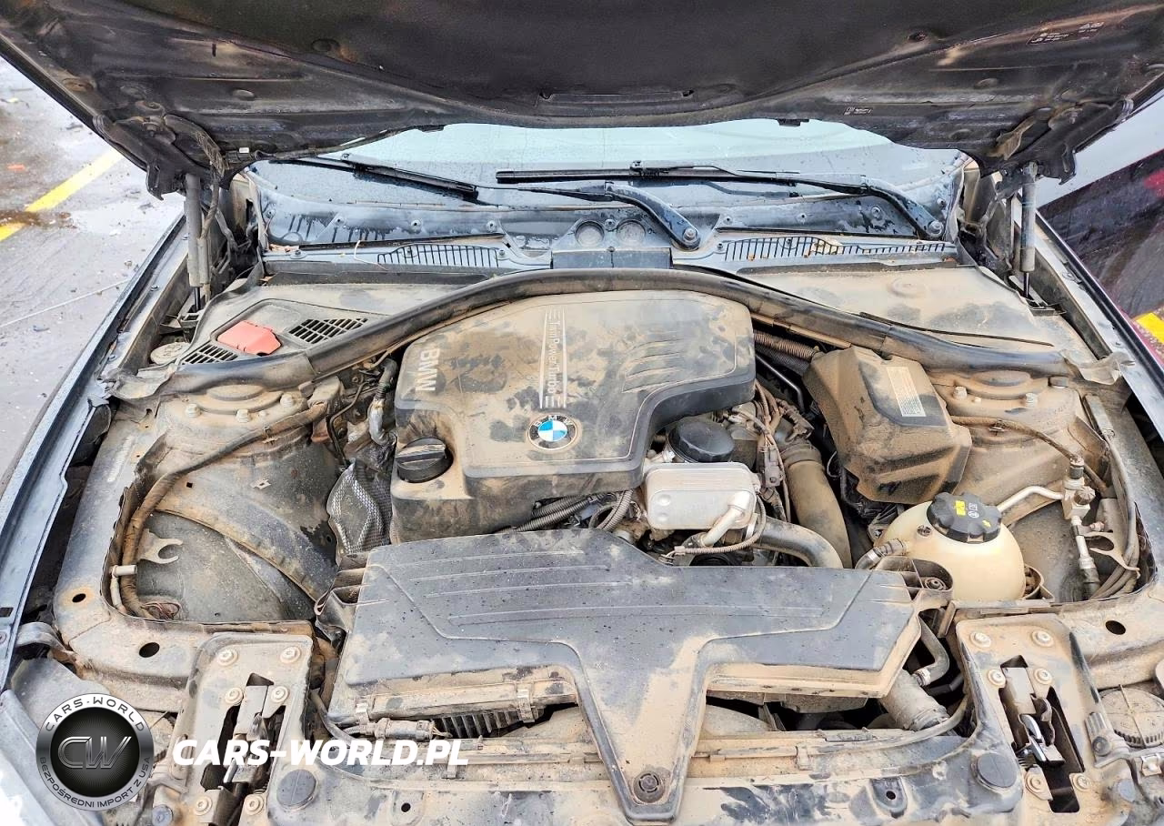 2016 BMW 228 I Sulev VIN:WBA1F9C58GV545324 - 11