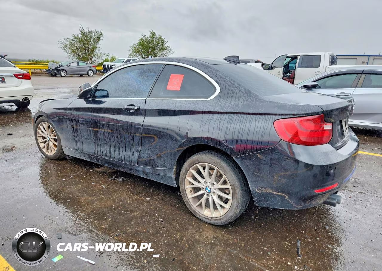 2016 BMW 228 I Sulev VIN:WBA1F9C58GV545324 - 2