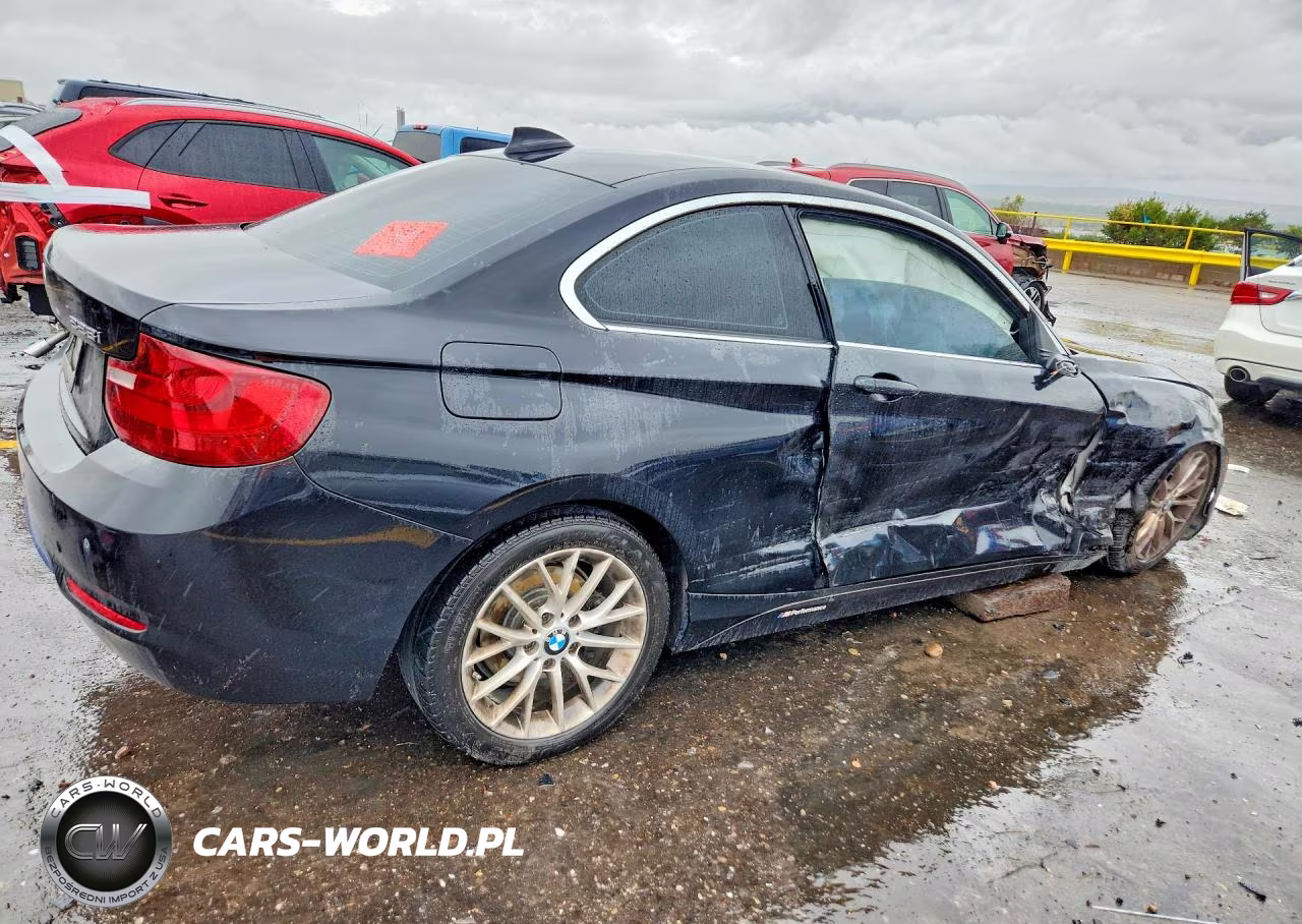 2016 BMW 228 I Sulev VIN:WBA1F9C58GV545324 - 3