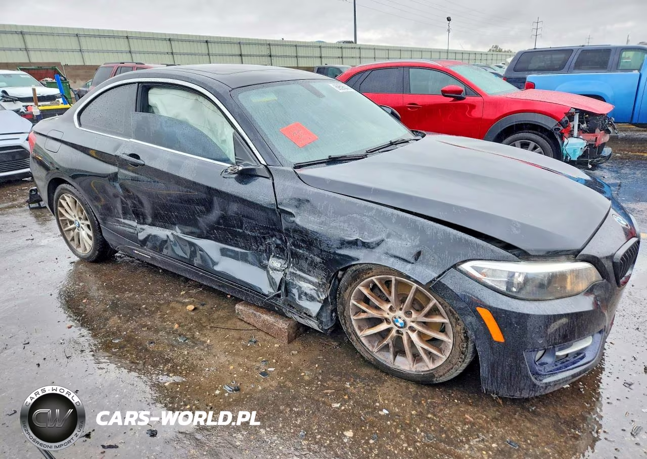 2016 BMW 228 I Sulev VIN:WBA1F9C58GV545324 - 4
