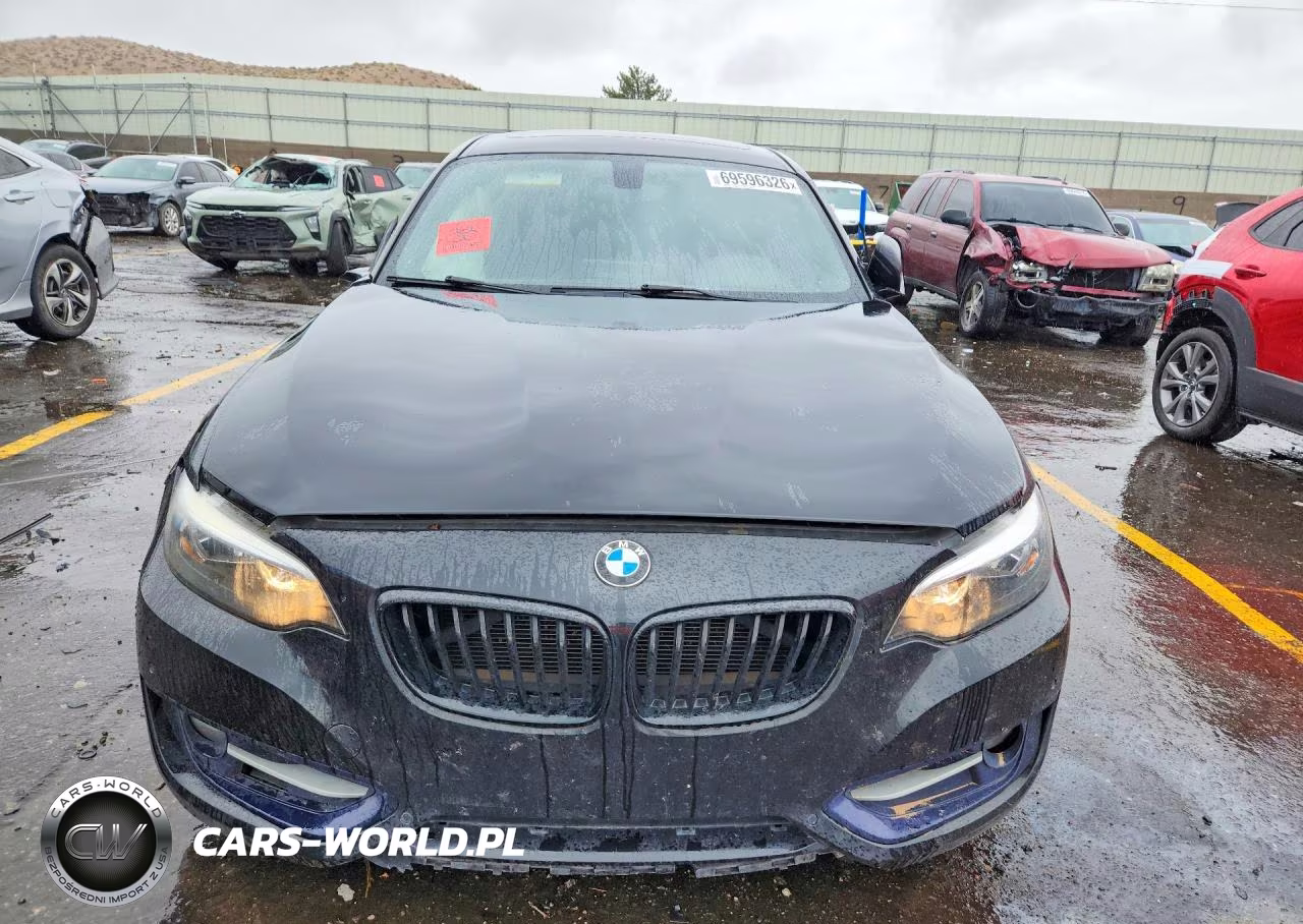 2016 BMW 228 I Sulev VIN:WBA1F9C58GV545324 - 5