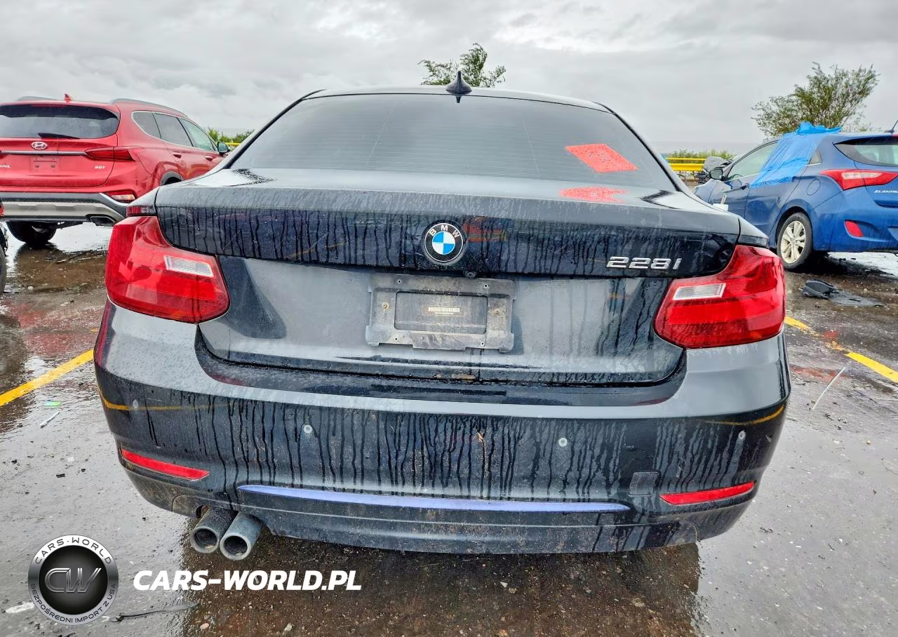 2016 BMW 228 I Sulev VIN:WBA1F9C58GV545324 - 6