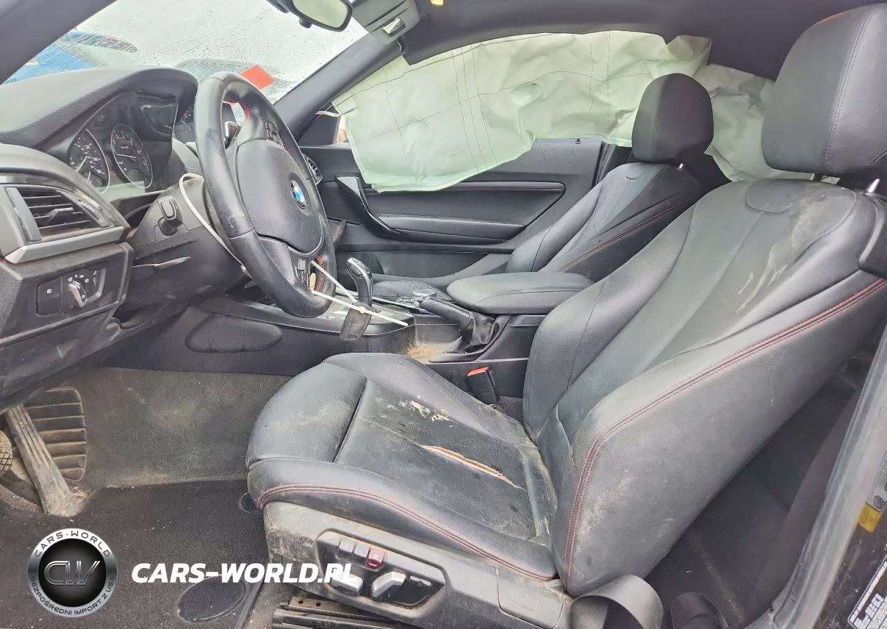 2016 BMW 228 I Sulev VIN:WBA1F9C58GV545324 - 7