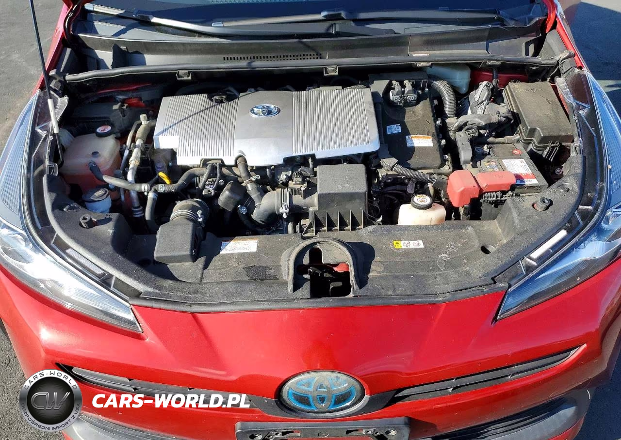 2019 Toyota Prius L Eco VIN:JTDKARFU0K3091759 - 11