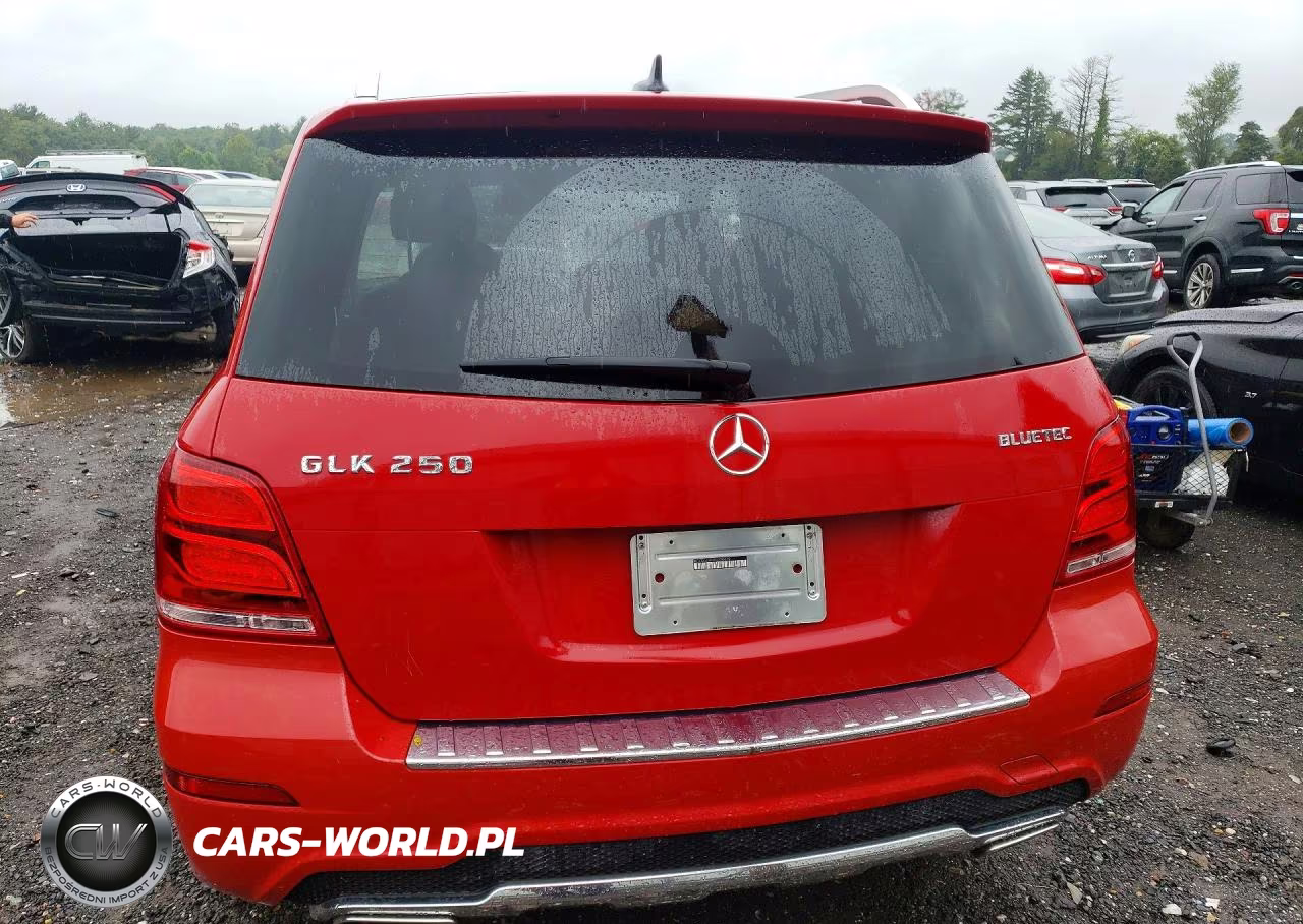 2014 Mercedes-Benz Glk 250 Bluetec VIN:WDCGG0EB3EG250619 - 6