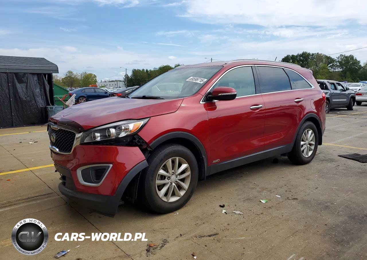 2017 Kia Sorento Lx VIN:5XYPGDA3XHG219323 - 1
