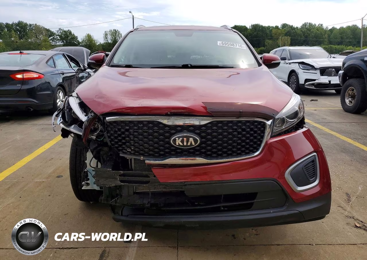 2017 Kia Sorento Lx VIN:5XYPGDA3XHG219323 - 5