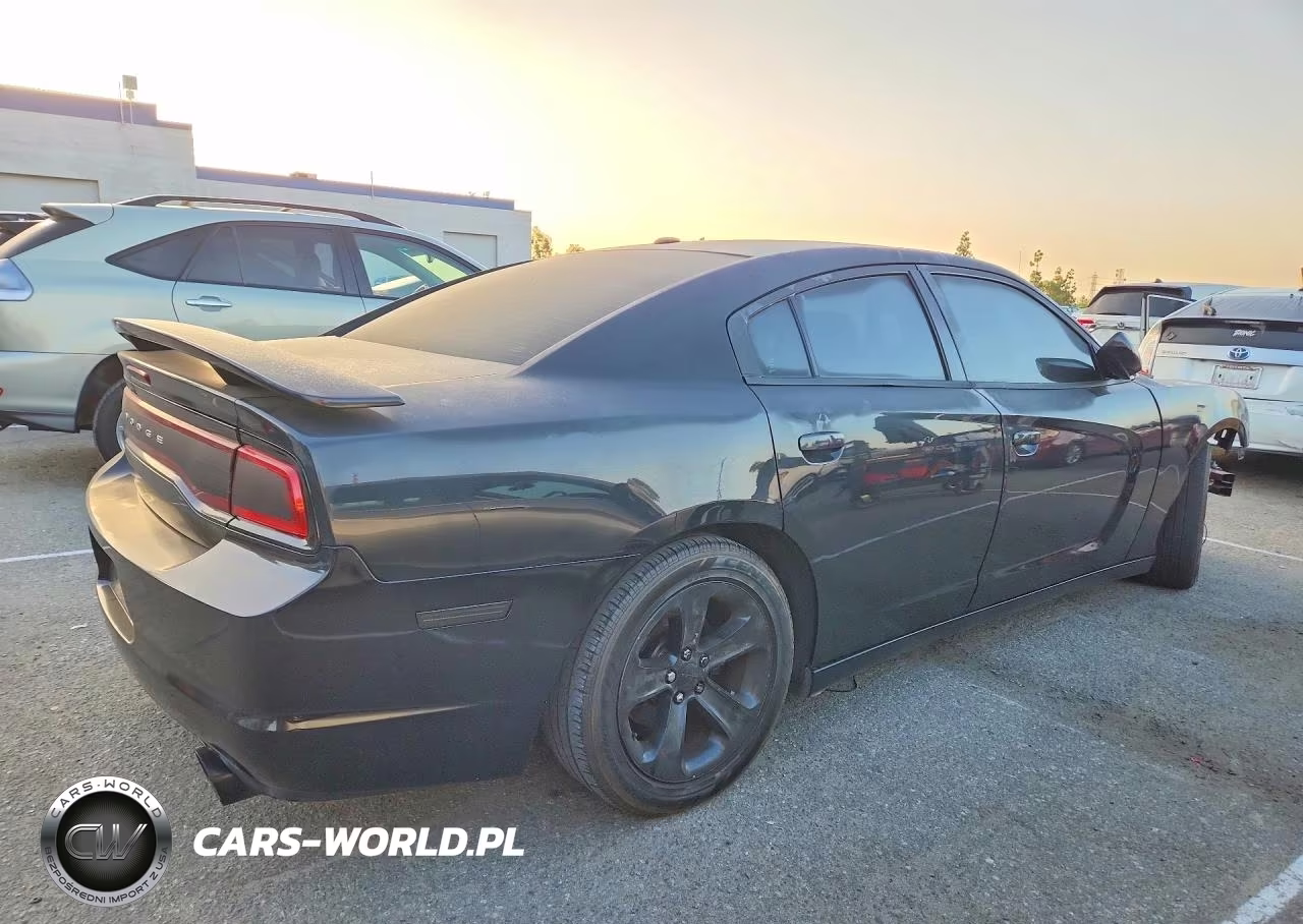 2014 Dodge Charger R-T VIN:2C3CDXCT4EH116065 - 3