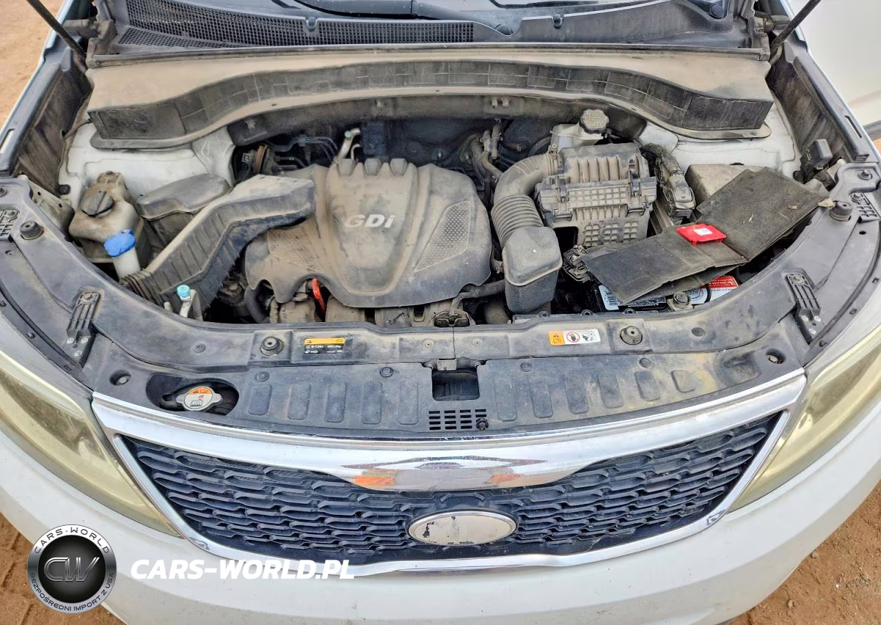 2014 Kia Sorento Lx VIN:5XYKTCA67EG530195 - 12
