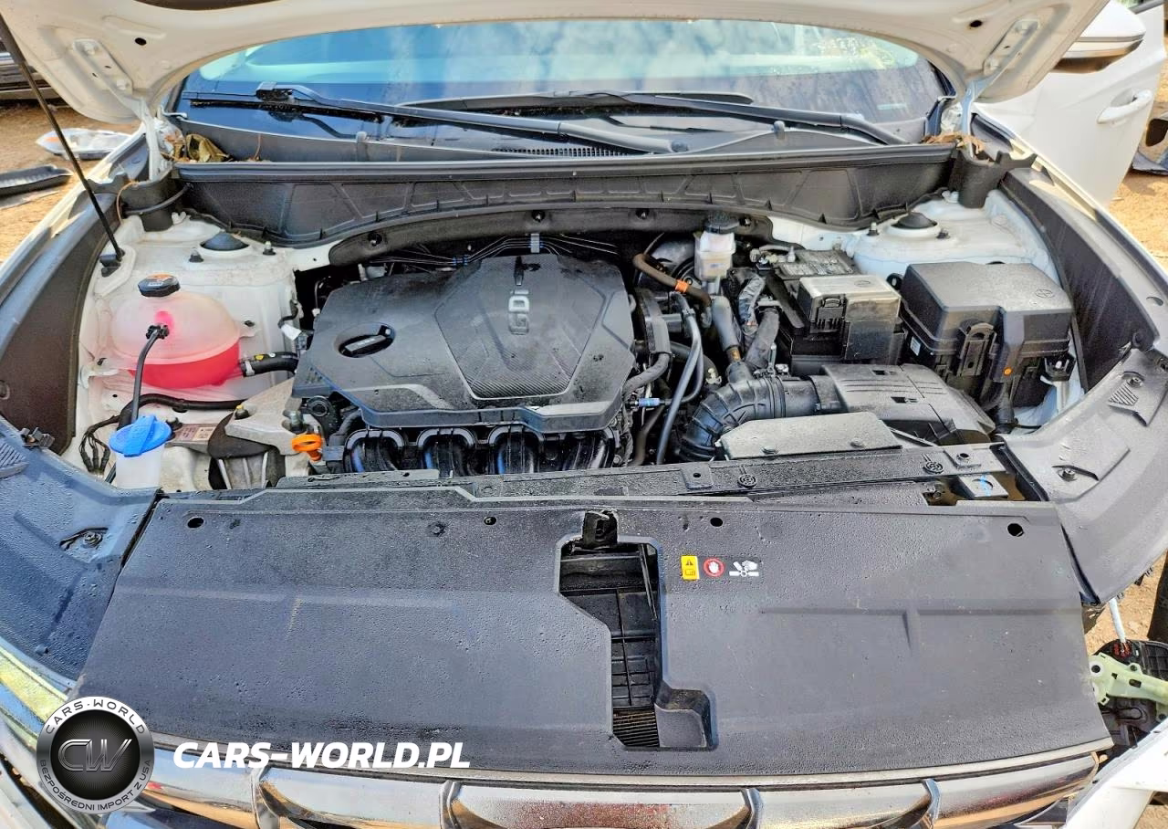 2024 Hyundai Tucson Limited VIN:5NMJECDE6RH330395 - 11