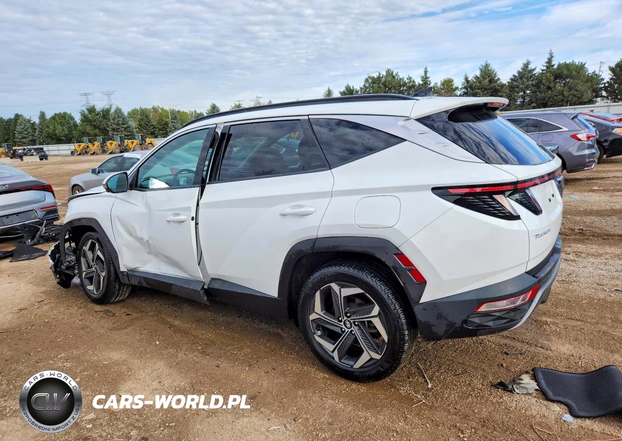 2024 Hyundai Tucson Limited VIN:5NMJECDE6RH330395 - 2