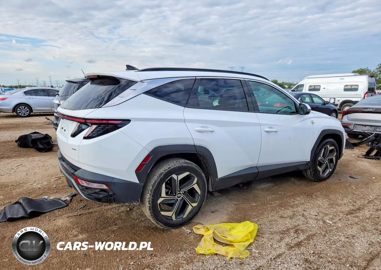 2024 Hyundai Tucson Limited VIN:5NMJECDE6RH330395 - 3