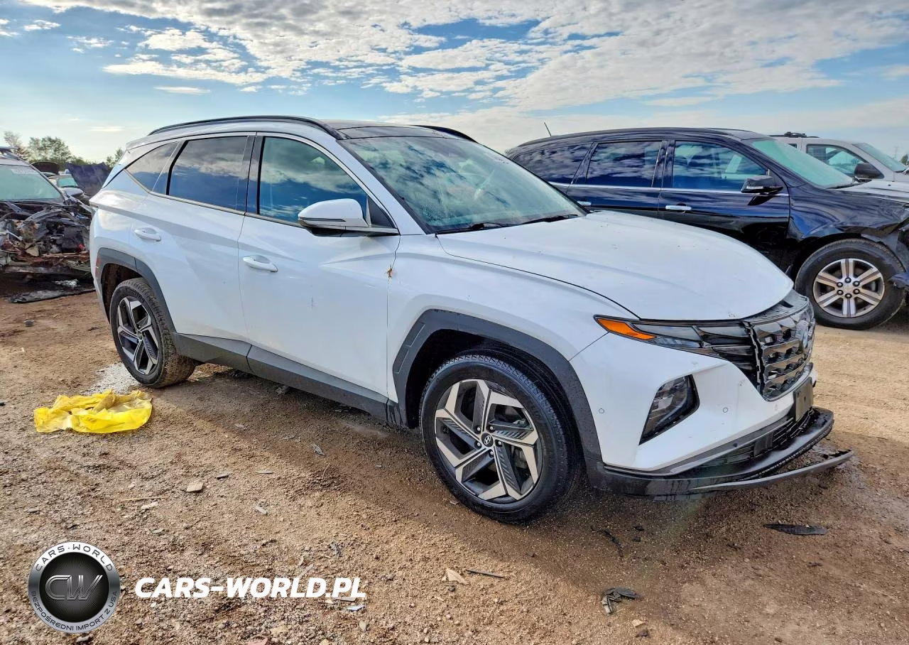 2024 Hyundai Tucson Limited VIN:5NMJECDE6RH330395 - 4