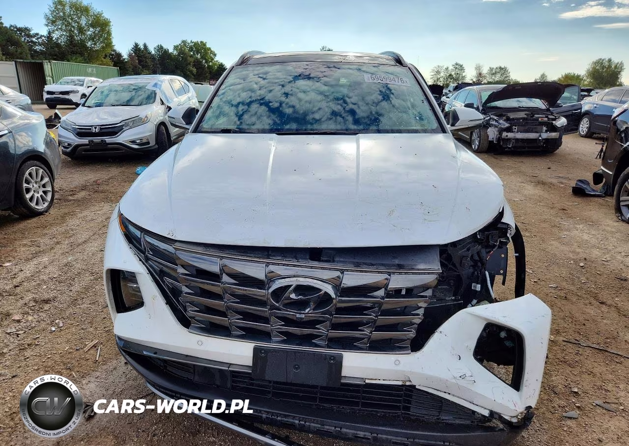 2024 Hyundai Tucson Limited VIN:5NMJECDE6RH330395 - 5