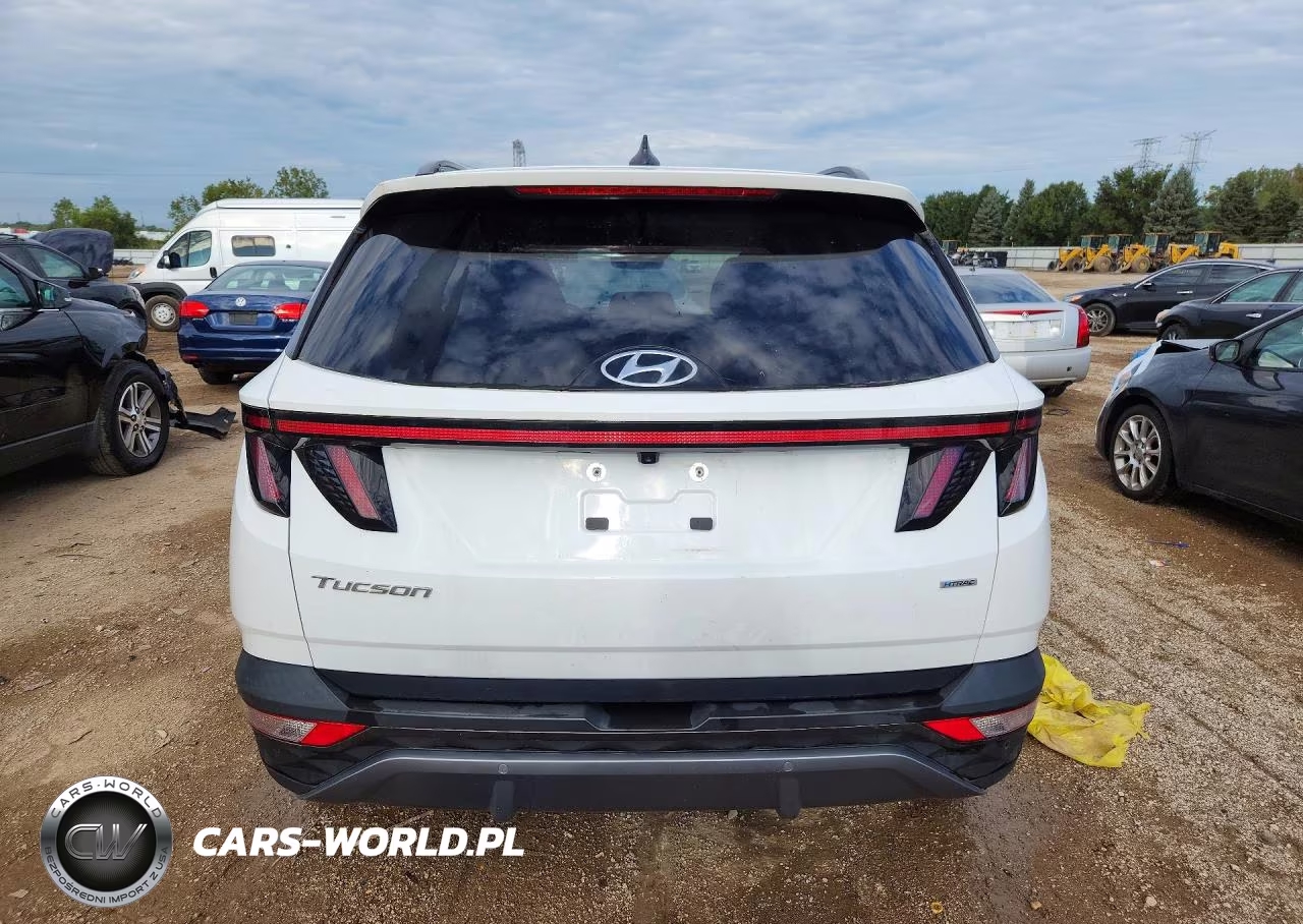 2024 Hyundai Tucson Limited VIN:5NMJECDE6RH330395 - 6