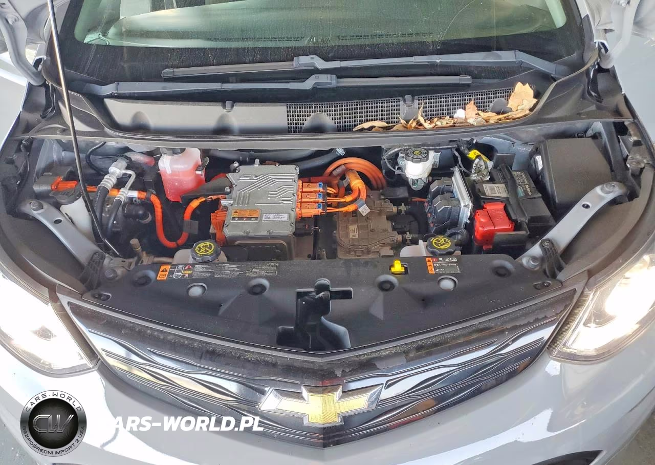 2021 Chevrolet Bolt Ev Lt VIN:1G1FW6S0XM4107766 - 11