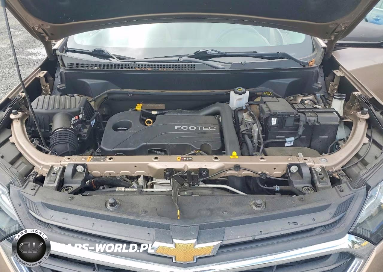 2019 Chevrolet Equinox Ls VIN:2GNAXHEVXK6120814 - 12