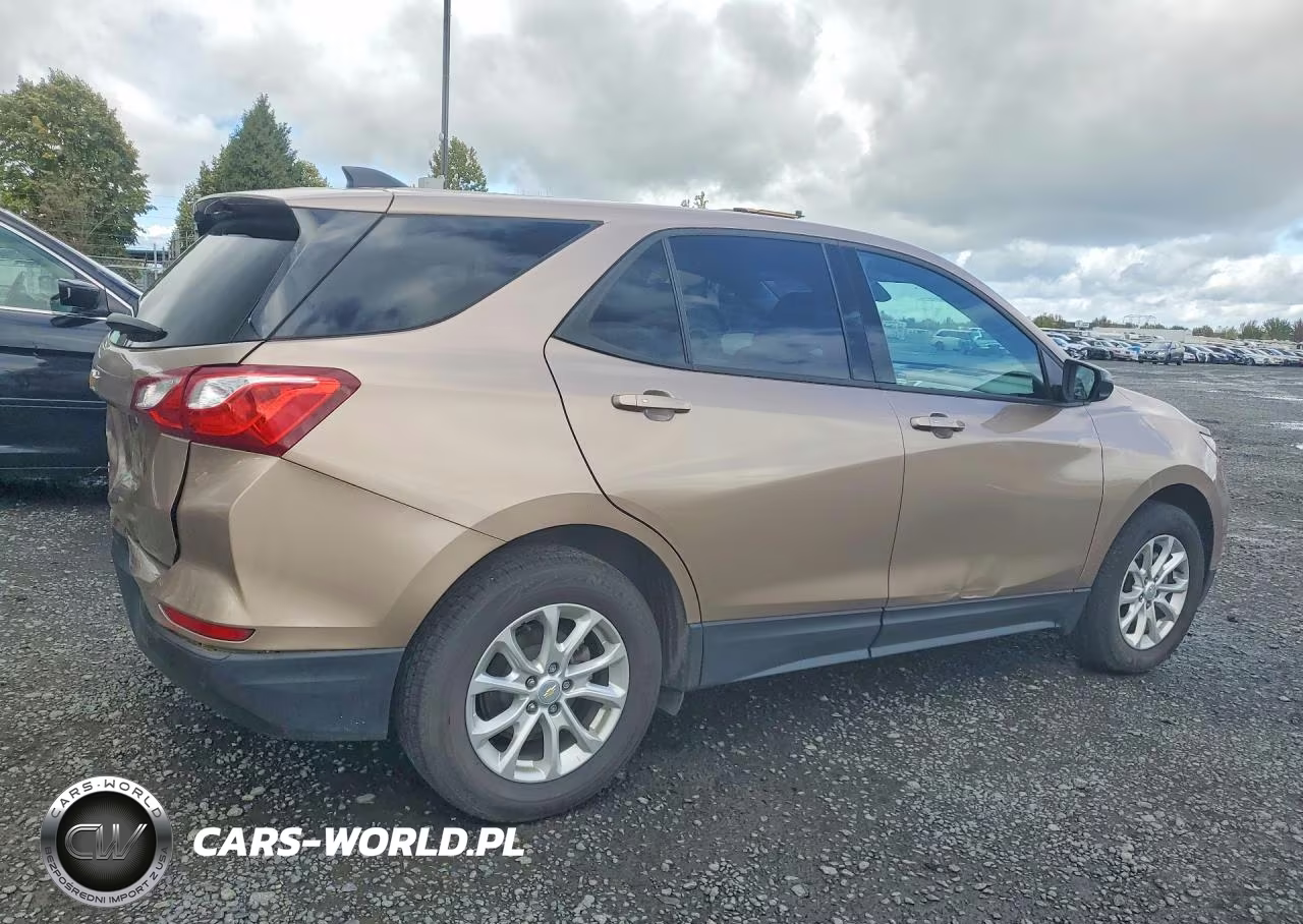 2019 Chevrolet Equinox Ls VIN:2GNAXHEVXK6120814 - 3