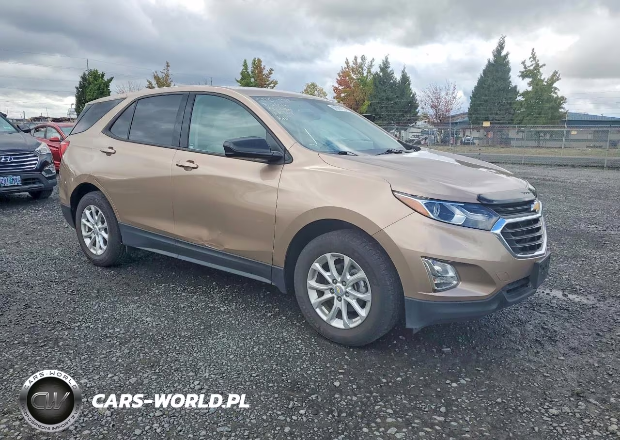 2019 Chevrolet Equinox Ls VIN:2GNAXHEVXK6120814 - 4