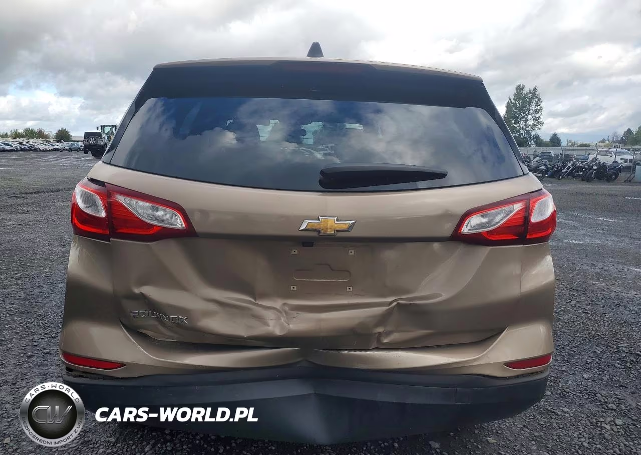 2019 Chevrolet Equinox Ls VIN:2GNAXHEVXK6120814 - 6