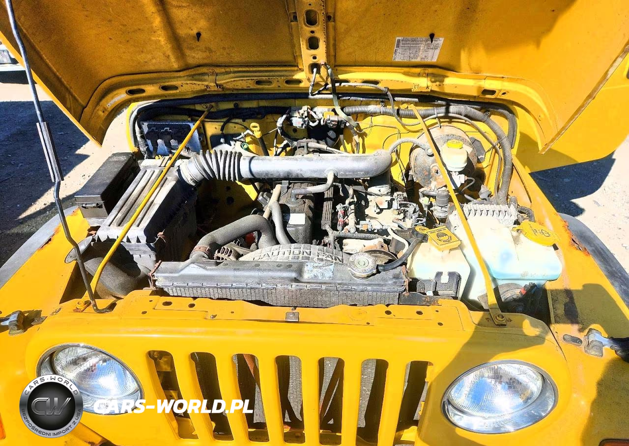 2004 Jeep Wrangler X VIN:1J4FA39S44P764907 - 11
