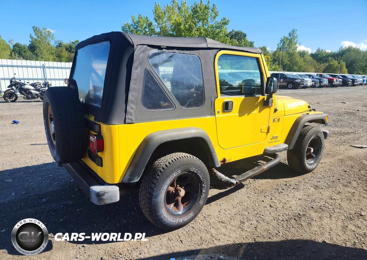 2004 Jeep Wrangler X VIN:1J4FA39S44P764907 - 3